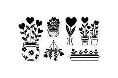 Hand Drawn Heart Plant Illustration Product Image 3