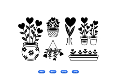 Hand Drawn Heart Plant Illustration Product Image 2