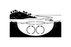 Hand Drawn Lake Circulation Vector For Crafts Product Image 2