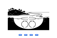 Hand Drawn Lake Circulation Vector For Crafts Product Image 1