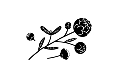 Hand Drawn Peony Floral SVG For Invitations Product Image 2