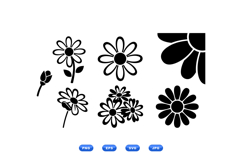 Hand Drawn Daisy SVG For Invitations Product Image 1