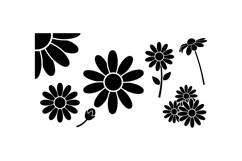 Hand Drawn Daisy Floral SVG For Invitations Product Image 1