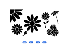 Hand Drawn Daisy Floral SVG For Invitations Product Image 2