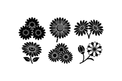 Hand Drawn Daisy Floral Illustration For Crafts Product Image 3