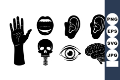 Human Body Parts Vector Illustration Icons Set Product Image 1