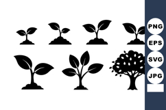 Plant Growth Stages Seedling To Tree Vector Product Image 1