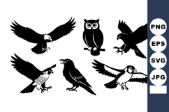 Silhouette Birds Vector Set Eagle Owl Falcon Crow Puffin Product Image 1