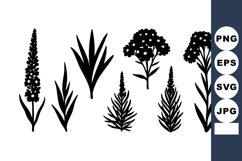 Black Wildflowers Grass Silhouette Vector Set Product Image 1