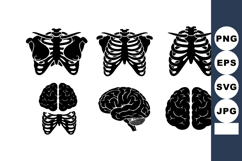 Human Skeleton Rib Cage Brain Vector Set Product Image 1