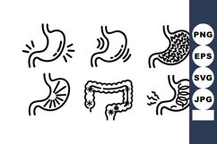 Human Digestive System Stomach Intestines Vector Icons Product Image 1