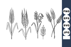 Black White Outline Cereal Grains Vector Illustration Product Image 1