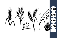 Black Wheat Spike Oat Grain Vector Illustration Product Image 1