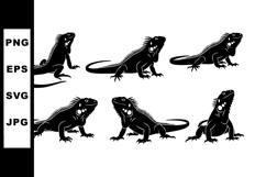 Iguana silhouettes in various poses black vector Product Image 1