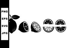 Lemon fruit whole and sliced citrus vector illustration in b Product Image 1
