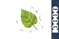 Green leaf with water droplets and scattered twigs vector il Product Image 1