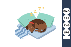 Sleeping brown dog curled up on striped blanket with green p Product Image 1
