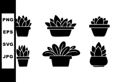 Succulent plants in pots vector illustration set with black Product Image 1