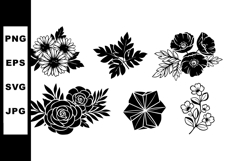 Black and white floral vector set with various flower and le Product Image 1