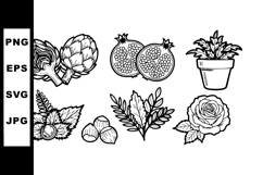 Vector illustration of artichoke pomegranate potted plant an Product Image 1