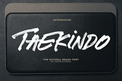 Taekindo - The Natural Brush Font Product Image 1