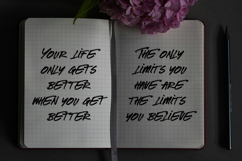 Taekindo - The Natural Brush Font Product Image 2