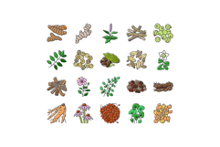 ayurvedic herbs medicine health icons set vector Product Image 1