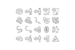 helminth worm parasite roundworm icons set vector Product Image 1