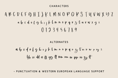 Tallahassee Script Product Image 10