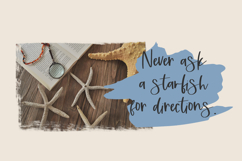 Tallahassee Script Product Image 2