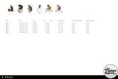 Tamarin Vintage Animal illustration Clip Art, Clipart Product Image 2