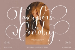 Tamylors Landry - Stylish Calligraphy Font Product Image 1