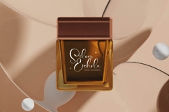 Tamylors Landry - Stylish Calligraphy Font Product Image 10