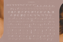 Tamylors Landry - Stylish Calligraphy Font Product Image 17