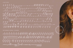 Tamylors Landry - Stylish Calligraphy Font Product Image 19