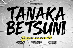 Tanaka Betsuni Bold Aggressive Brush Product Image 1