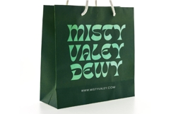 Tanqier - Groovy Display Font Product Image 2