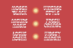 Tanqier - Groovy Display Font Product Image 13