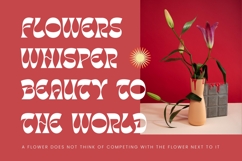 Tanqier - Groovy Display Font Product Image 16