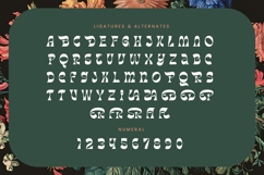 Tanqier - Groovy Display Font Product Image 18
