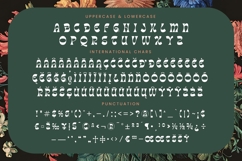 Tanqier - Groovy Display Font Product Image 19