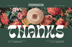 Tanqier - Groovy Display Font Product Image 20