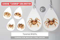 Earring Tarantula Wildlife Product Image 1