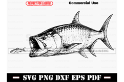 Tarpon Fishing SVG PNG DXF EPS PDF Product Image 1