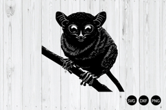 Tarsier SVG, Animal Silhouette SVG, Cute Tarsier SVG Product Image 1