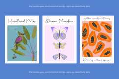 Taste Juicy Scribbles - Organic Handwritten Display Product Image 10