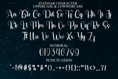 Taylor Swift Product Image 7