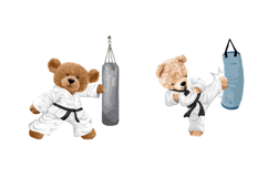 Martial Arts Teddy Bears, 8 Cute Fighters, Seamless Pattern Product Image 5