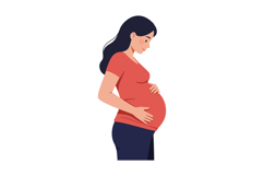 Pregnant woman in profile with hand on belly, flat vector ar Product Image 1