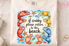 If Crabby Please Return To The Beach PNG, Summer Beach PNG Product Image 4